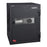 Hollon Data Safe